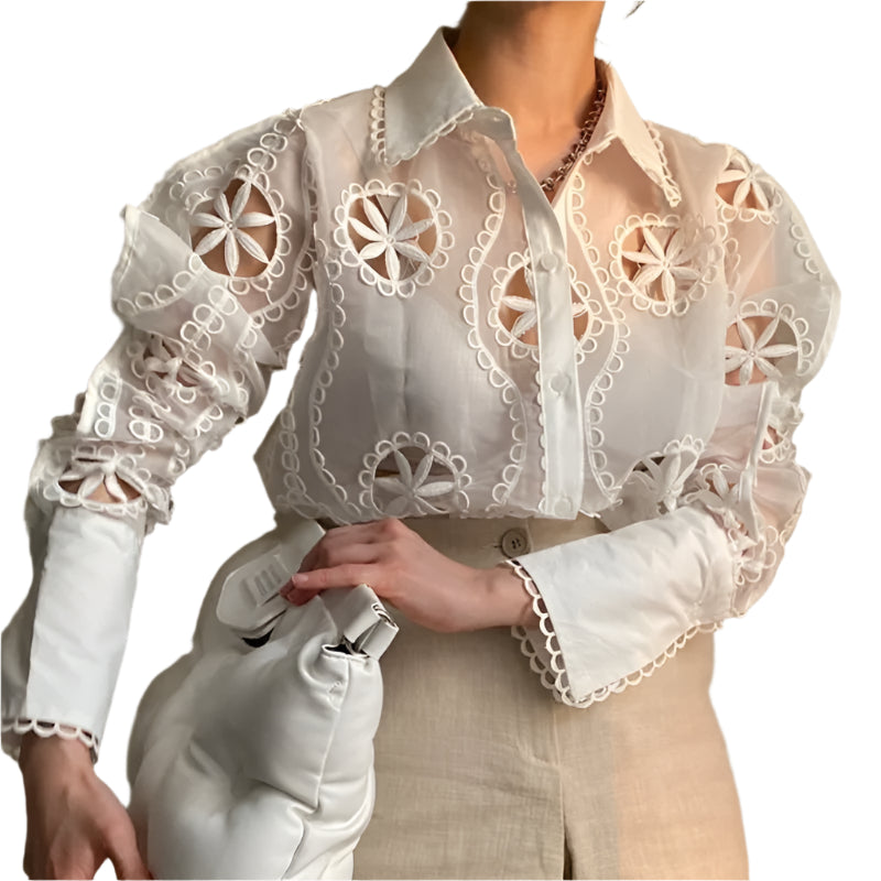 Elegant Lace Blouse – Turn-Down Collar & Full Sleeve Spring Top